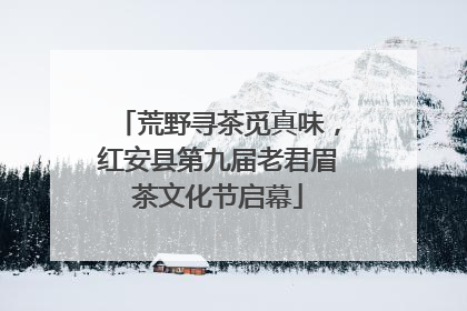 荒野寻茶觅真味，红安县第九届老君眉茶文化节启幕