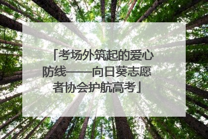 考场外筑起的爱心防线——向日葵志愿者协会护航高考