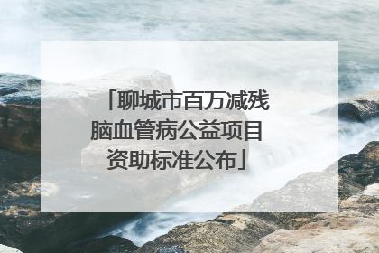 聊城市百万减残脑血管病公益项目资助标准公布