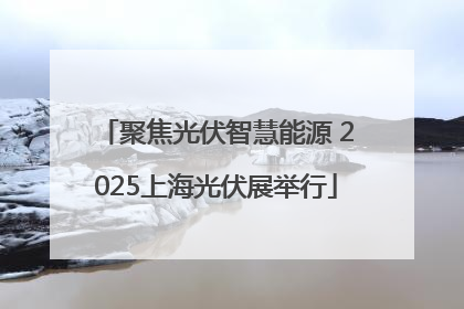 聚焦光伏智慧能源 2025上海光伏展举行