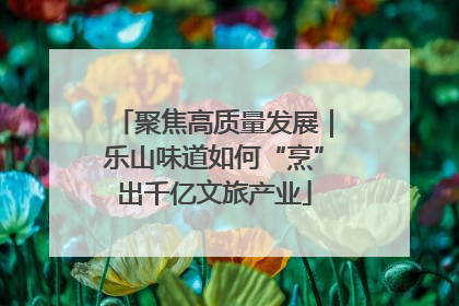 聚焦高质量发展｜乐山味道如何“烹”出千亿文旅产业