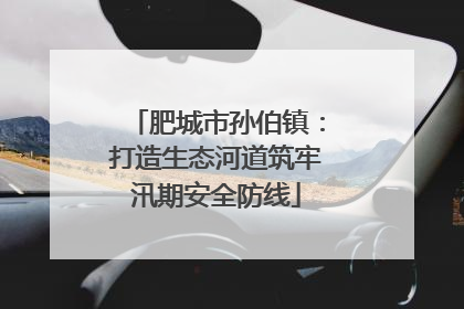 肥城市孙伯镇：打造生态河道筑牢汛期安全防线