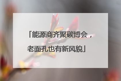 能源商齐聚碳博会，老面孔也有新风貌