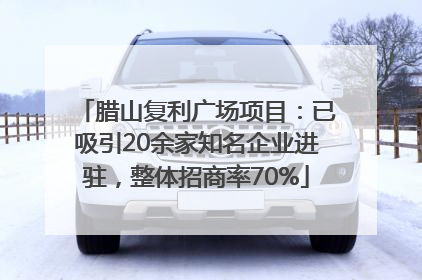 腊山复利广场项目：已吸引20余家知名企业进驻，整体招商率70%