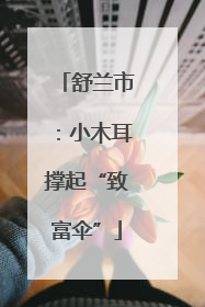 舒兰市：小木耳撑起“致富伞”