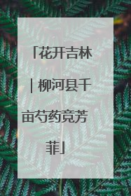 花开吉林｜柳河县千亩芍药竞芳菲