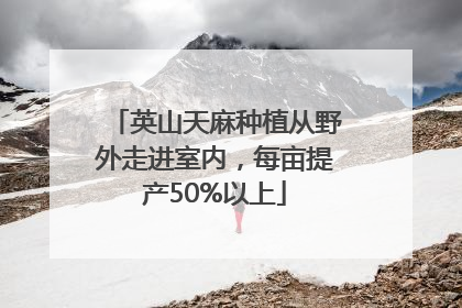 英山天麻种植从野外走进室内，每亩提产50%以上