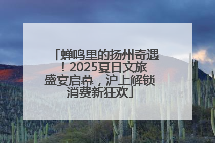 蝉鸣里的扬州奇遇！2025夏日文旅盛宴启幕，沪上解锁消费新狂欢