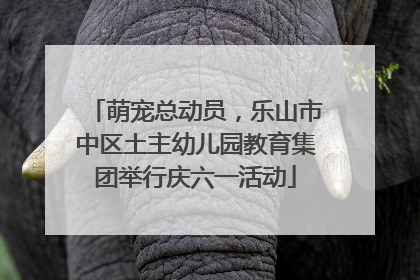 萌宠总动员，乐山市中区土主幼儿园教育集团举行庆六一活动