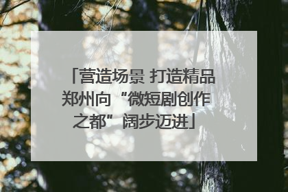 营造场景 打造精品 郑州向“微短剧创作之都”阔步迈进