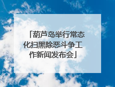 葫芦岛举行常态化扫黑除恶斗争工作新闻发布会