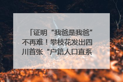 证明“我爸是我爸”不再难！攀枝花发出四川首张“户籍人口直系亲属关系谱”