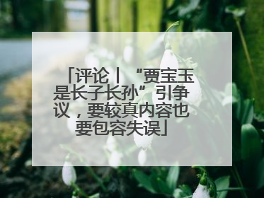 评论丨“贾宝玉是长子长孙”引争议，要较真内容也要包容失误