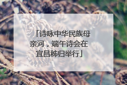 诗咏中华民族母亲河，端午诗会在宜昌秭归举行