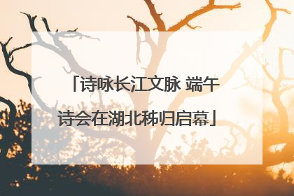 诗咏长江文脉 端午诗会在湖北秭归启幕