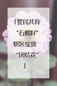 警民共育“石榴籽” 辖区绽放“团结花”