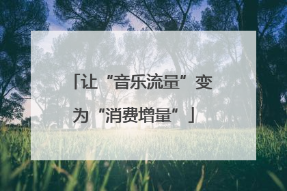 让“音乐流量”变为“消费增量”