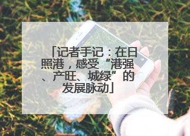 记者手记：在日照港，感受“港强、产旺、城绿”的发展脉动