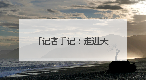 记者手记：走进天津港，窥见未来现代化港口的模样