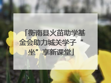 衡南县火苗助学基金会助力城关学子“坐”享新课堂