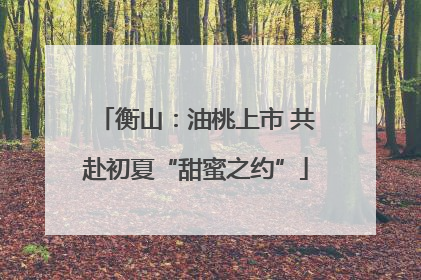 衡山：油桃上市 共赴初夏“甜蜜之约”