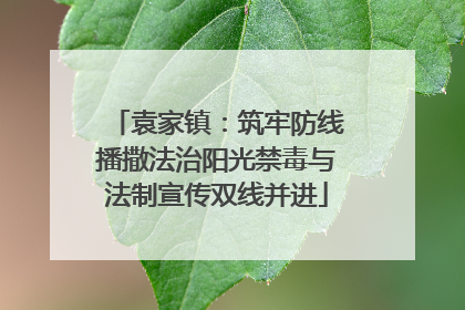 袁家镇：筑牢防线播撒法治阳光禁毒与法制宣传双线并进