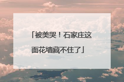 被美哭！石家庄这面花墙藏不住了