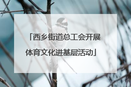 西乡街道总工会开展体育文化进基层活动