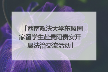 西南政法大学东盟国家留学生赴贵阳贵安开展法治交流活动