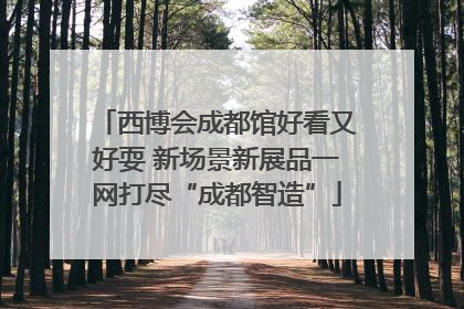 西博会成都馆好看又好耍 新场景新展品一网打尽“成都智造”