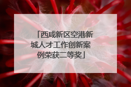 西咸新区空港新城人才工作创新案例荣获二等奖