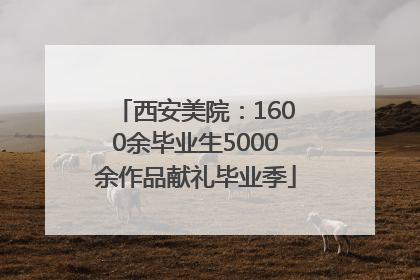 西安美院：1600余毕业生5000余作品献礼毕业季
