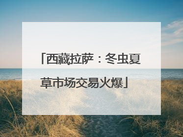 西藏拉萨：冬虫夏草市场交易火爆