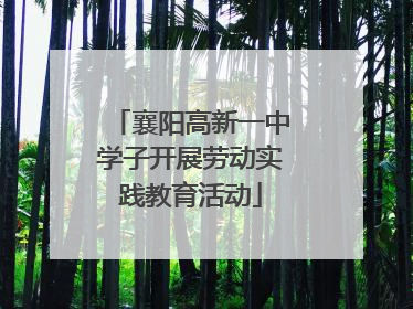 襄阳高新一中学子开展劳动实践教育活动