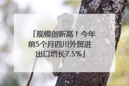规模创新高！今年前5个月四川外贸进出口增长7.5%