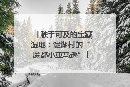 触手可及的宝藏湿地：淀湖村的“魔都小亚马逊”