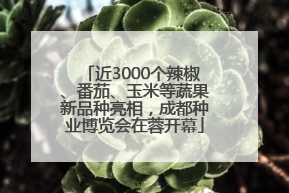 近3000个辣椒、番茄、玉米等蔬果新品种亮相，成都种业博览会在蓉开幕