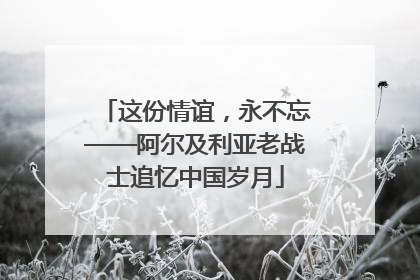 这份情谊，永不忘——阿尔及利亚老战士追忆中国岁月