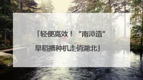 轻便高效！“南漳造”旱稻播种机走俏湖北