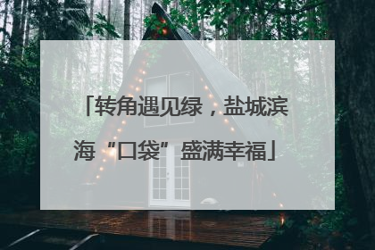 转角遇见绿，盐城滨海“口袋”盛满幸福