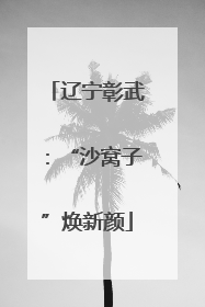 辽宁彰武：“沙窝子”焕新颜