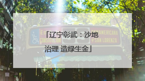 辽宁彰武：沙地治理 造绿生金