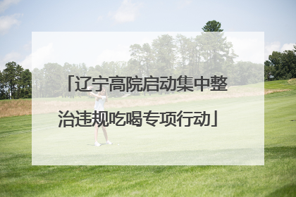 辽宁高院启动集中整治违规吃喝专项行动
