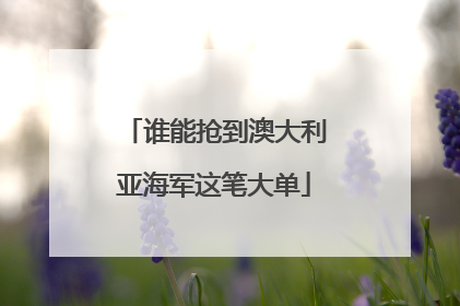 谁能抢到澳大利亚海军这笔大单