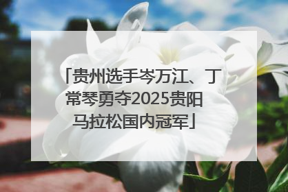 贵州选手岑万江、丁常琴勇夺2025贵阳马拉松国内冠军
