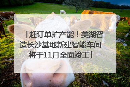 赶订单扩产能！美湖智造长沙基地新建智能车间将于11月全面竣工