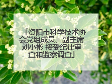 资阳市科学技术协会党组成员、副主席刘小彬 接受纪律审查和监察调查