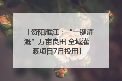 资阳雁江：“一键灌溉”万亩良田 全域灌溉项目7月投用