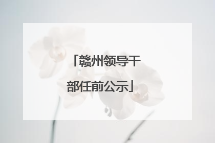 赣州领导干部任前公示