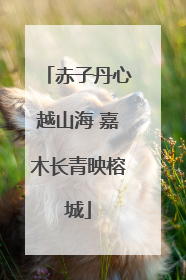 赤子丹心越山海 嘉木长青映榕城